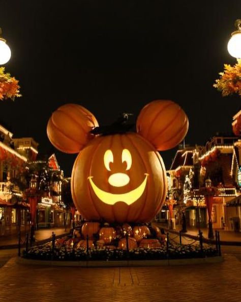 I personally love Christmas time at Disneyland- what about you? #disney #christmas #halloween #disneyparks Disneyland Wallpaper, Adventureland Disneyland, Halloween Time At Disneyland, Disney World Halloween, Pumpkin For Halloween, Disneyland Attractions, Mickey Pumpkin, Disneyland Halloween, Halloween Parade