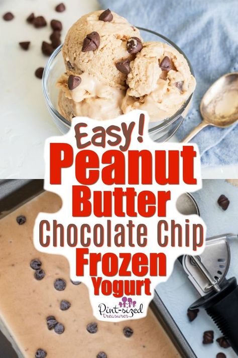 Easy Frozen Yogurt, Frozen Deserts, Frozen Yogurt Bar, Peanut Butter Yogurt, Frozen Yogurt Recipes, Yogurt Recipe, Unhealthy Snacks, Ice Blocks, Easy Peanut Butter