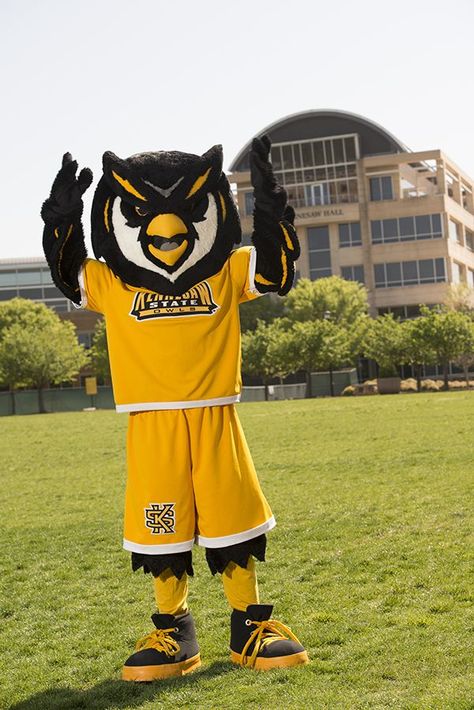 Kennesaw State Owls mascot, Scrappy the Owl. Kennesaw State University - KSU - Owls Kennesaw State University, Kennesaw State, Oregon State University, College Parties, Gulf Coast Florida, Team Mascots, Oregon State, Dream College, Great Logos