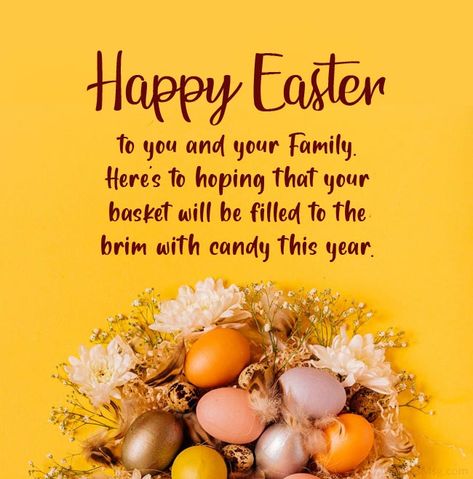 Funny Easter Wishes, Easter Card Messages, Easter Wishes Messages, Easter Inspirational Quotes, Happy Easter Messages, Happy Easter Quotes, Happy Easter Sunday, Easter Greetings Messages, Happy Easter Greetings