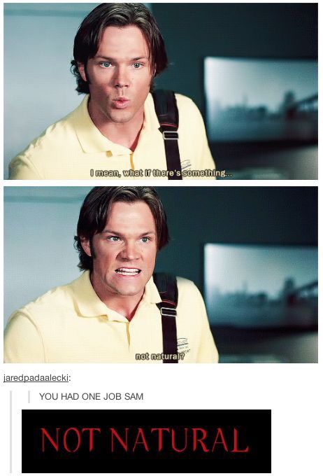 Supernatural Supernatural Gif, Supernatural Bloopers, Supernatural Tattoo, Supernatural Wallpaper, Supernatural Quotes, You Had One Job, Sam Dean, Supernatural Memes, Supernatural Dean