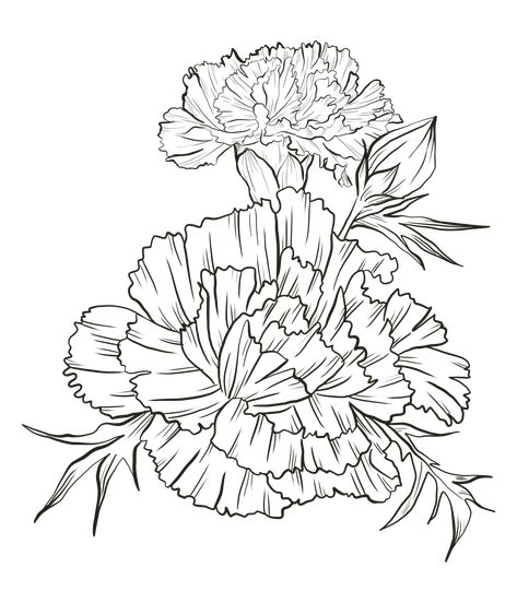 Carnation Flower Drawing, Carnation Drawing, Flower Line Art, Carnation Flower, Sketch Ideas, Logo Banners, Cityscape Photos, Sticker Ideas, Heart With Arrow