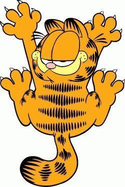 Cha Garfield Birthday, Garfield Wallpaper, Garfield Pictures, Garfield Images, Garfield Cartoon, Garfield Cat, Garfield Comics, Garfield And Odie, Classic Cartoon Characters