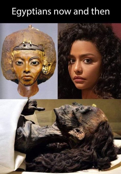 Pharoah Egyptian, Queen Tiye, Dna Analysis, Weird History Facts, Egyptian People, Modern Egypt, Amenhotep Iii, Ancient Egypt History, Ancient History Facts