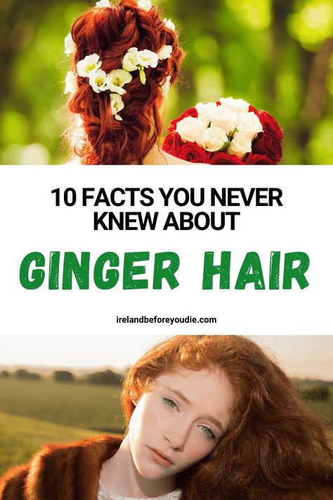 Ginger hair is a stereotypical trait of Irish people, but here are the top ten facts about ginger hair that you never knew. #GingerHair #RedHair #GingerHairfacts Shades Of Ginger Hair Chart, Ginger Hair Natural Redhead, Best Clothing Colors For Gingers, Ginger Hair Styles Natural Redhead, Facts About Gingers, Types Of Ginger Hair, Hairstyles For Gingers, Ginger Beer Hair Color, Irish Hairstyle