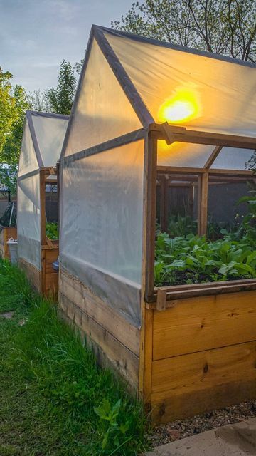 Char + Marv | Urban Garden on Instagram: "From one protective cover to another Switching our garden bed cover from plastic to protect from cold weather during early spring to mesh for shade during summer heat. Doing what we can to protect what we grow . . . . . . . . . . #gardenproject #gardening #garden #gardeninspiration #instagood #instadaily #inspiration #diy #tips #learn #raisedbeds #vegetables #ideas #gardening101" Garden Bed Cover, Garden Enclosure Ideas, Vegetables Ideas, Survival Homestead, Homestead Food, Vegetable Garden Boxes, Vegetable Garden Layout Design, Above Ground Garden, Cold Frame Gardening