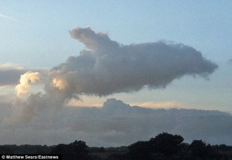 26. #Dolphin - Amazing #Nature: Clouds That Look like #Animals ... #Elephant Shapes In The Clouds, Clouds That Look Like Things, Shapes In Clouds, Clouds Shapes, Cloud Pictures, Angel Clouds, Cloud Formations, Essex England, White Van