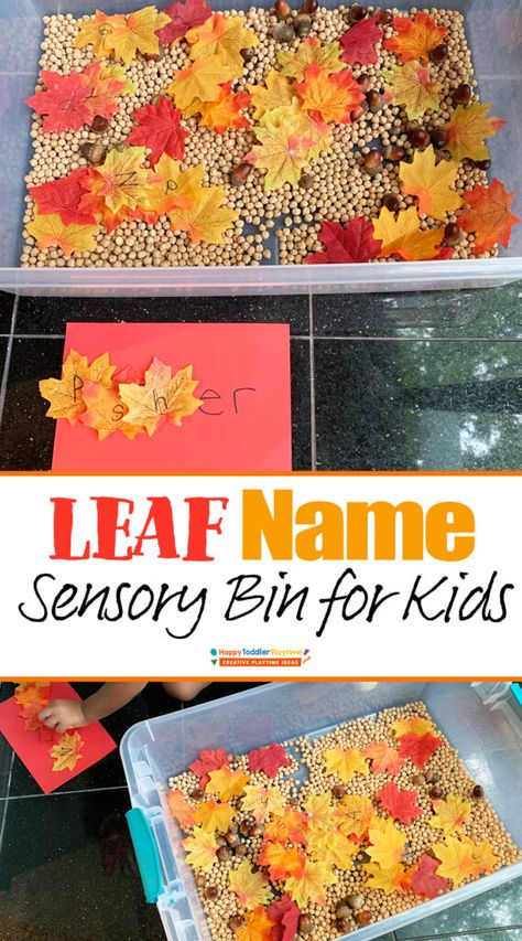 Cheap Fall Sensory Bin, Leaf Sensory Bin, Leaf Activities For Toddlers, Busy Bins, Preschool Organization, Nanny Activities, Leaves Name, Fall Sensory Bin, Flisat Table