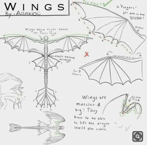 Hiccup Toothless, Ako Kresliť, Dragon Anatomy, Httyd Art, Toothless Dragon, Illustration Tutorial, Wings Drawing, Httyd Dragons, Dragon Sketch