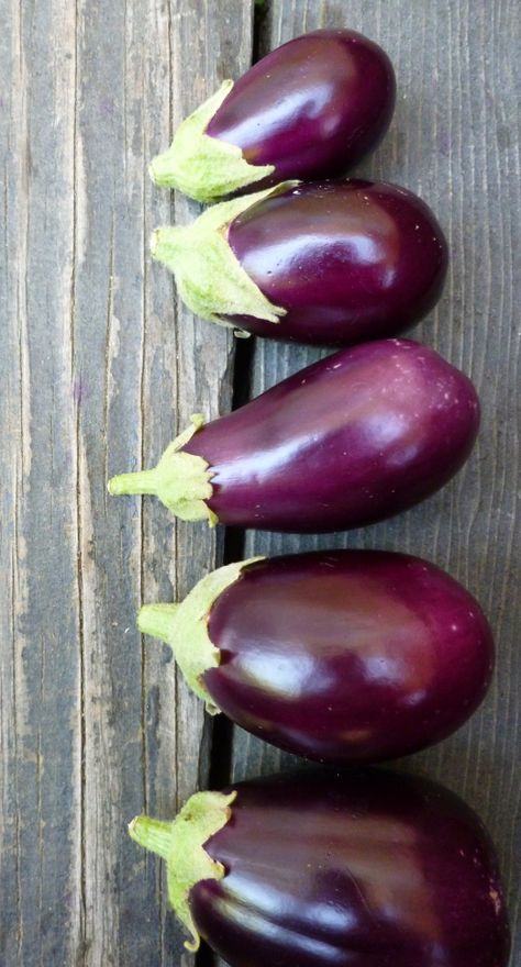 Dehydrated tomatoes — In the sun or in your dehydrator, this is how you do it How To Preserve Fresh Eggplant, How To Freeze Eggplant, How To Freeze Eggplant Without Blanching, Preserving Eggplant, Freezing Breaded Eggplant, Freezing Eggplant, Preparing Eggplant For Cooking, Can You Freeze Eggs, Preserving Eggs