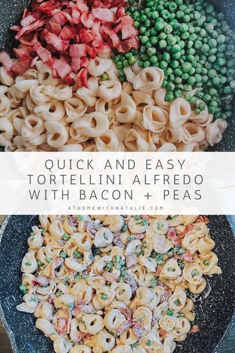 Easy Tortellini Alfredo, Alfredo With Bacon, Easy Tortellini Recipes, Bacon Peas, Easy Tortellini, Tortellini Alfredo, Sausage Tortellini, Tortellini Recipes, Tortellini Pasta