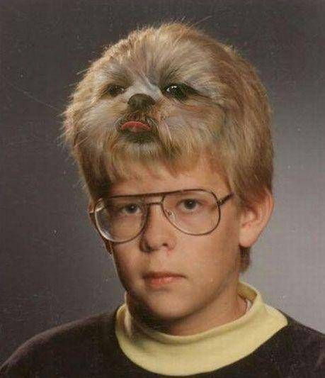 Hair of the Dog Ben Silbermann, Hairstylist Quotes, Awkward Photos, Awkward Family Photos, Glamour Shots, Picture Day, Morning Humor, Kristen Stewart, Bad Hair