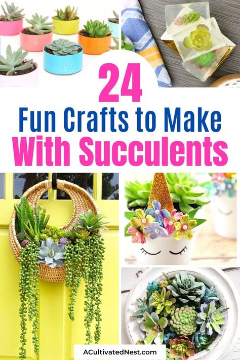 Succulent Craft Ideas, Diy Succulent Decor, Succulent Projects, Succulent Diy, Cute Succulent Ideas, Plastic Succulents Diy, Fake Succulent Arrangements Diy, Indoor Succulent Garden Ideas, Succulent Crafts