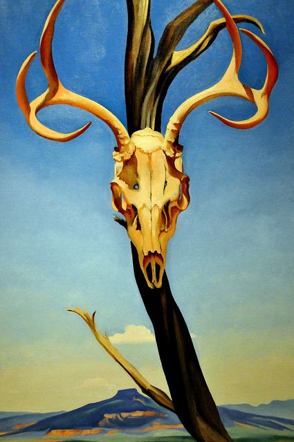 Georgia O'Keefe - Deer's Skull with Pedernal Georgia O'keefe Art, Georgia O Keeffe Paintings, O Keeffe Paintings, Boston Museum Of Fine Arts, Georgia O Keefe, Boston Museums, Georgia Okeefe, Alfred Stieglitz, O Keefe