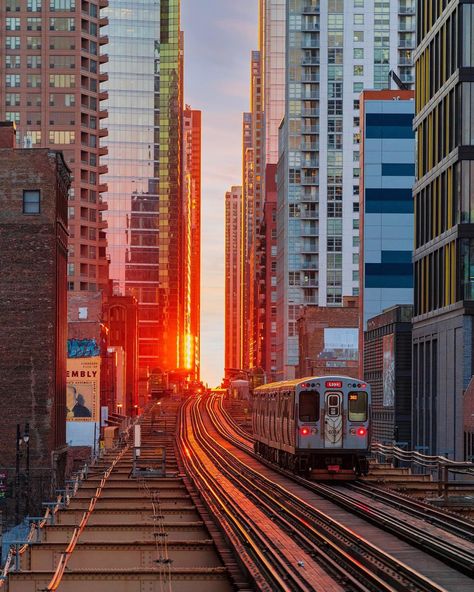 Hello Spring 🌞 Chicago Henge lights on @chicagocta tracks. Trying to find the perfection in every moment, instead of trying to make every moment perfect. 😃 📸 @sonyalpha A7iii #SonyAlpha #BeAlpha #artofchi #chicagohenge #yourshotphotographer #500px #choosechicago #visittheusa Chicago Spring, Old Home, Hello Spring, Chicago Il, San Francisco Skyline, Old Houses, New York Skyline, Times Square, Around The Worlds