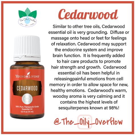 Benefits Of Cedarwood Essential Oil, Cedarwood Oil Benefits, Cedarwood Essential Oil Uses Benefits Of, Ceaderwood Essential Oil Benefits, Cedar Oil Benefits, Cedarwood Essential Oil Young Living, Cedarwood Essential Oil Benefits, Biblical Oils, Cedarwood Essential Oil Uses