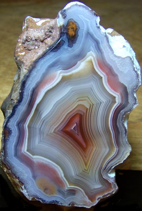 Agate Art, Agate Rocks, Geode Rocks, The Marvels, Geode Art, Pretty Rocks, Cool Rocks, Crystal Geode, Agate Geode