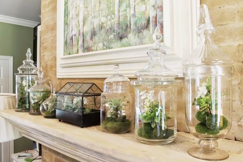 DIY Faux Moss Terrariums Faux Terrarium, Moss Terrariums, Moss Planter, Diy Moss, Kat Diy, Terrarium Ideas, Faux Moss, Moss Terrarium, Succulent Terrarium