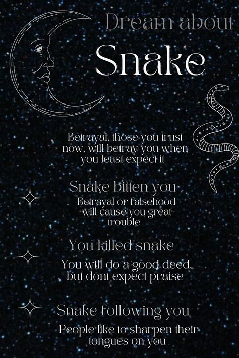 Snake Witch Aesthetic, Dreams About Snakes Meaning, Snake Dream Meaning, Dream Messages, Snake Meaning, Magickal Correspondences, Witches Alphabet, Astrology 101, Dream Magic