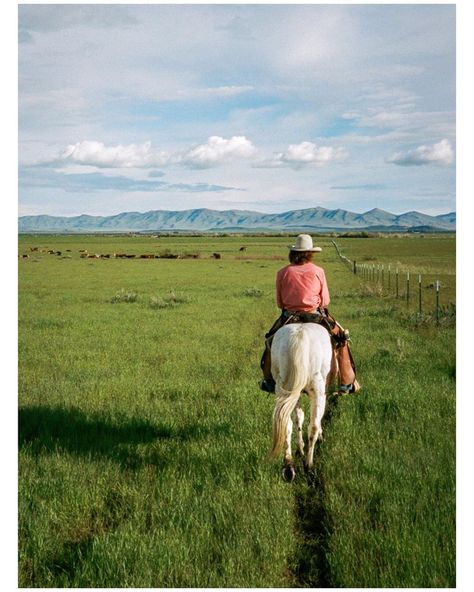 Field Mag on Instagram: “The final image of our @jamesbarkman takeover. Thanks for following along folks | “My friend and seasoned cowboy checks in on cattle in…” Calving Season, Idaho, Spring Time, Checks, Cowboy, Instagram