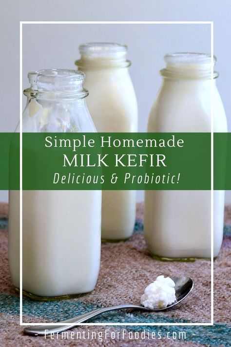 Here is everything you need to know about milk kefir. Including where to get the grains, how to flavor it and how to keep your grains healthy! Milk Kefir Recipes, Kefir Starter, Kefir Milk, Kefir Water, Kefir Benefits, Milk Kefir Grains, Fermented Dairy, Dairy Foods, Fermented Drinks