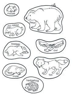 The Mitten Animals Free Printable The Mitten Book Activities, Animals That Hibernate, Jan Brett, Winter Classroom, Winter Kindergarten, The Mitten, Author Studies, Winter Preschool, Preschool Books