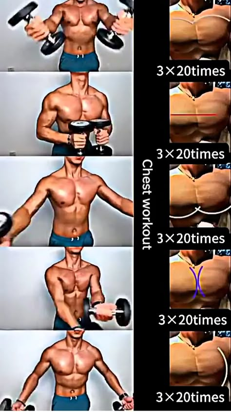 Elevate your fitness routine with our top chest workouts! Designed to strengthen and define your chest muscles, these exercises are perfect for all fitness levels. Start building a powerful upper body today! Muscle Exercises Men, How To Build Body Muscle, Workout Plan For Men At Home, Pec Muscle Workout, Men Workout Routine At Home Mens Fitness, Upper Chest Exercises Men, Chest Excersice At Home, Chest Workout With Barbell, Chest Muscles Anatomy Workout