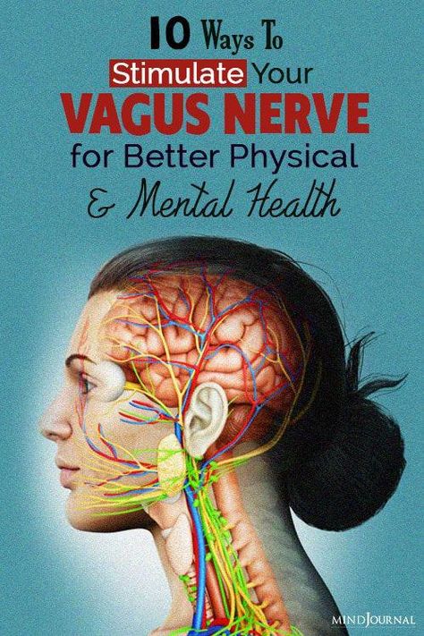 Vagus Nerve Healing, Vegas Nerve, Nerf Vague, Nervus Vagus, Polyvagal Theory, The Vagus Nerve, Nerve Health, Parasympathetic Nervous System, Frosé