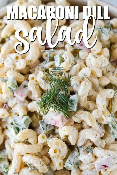 Dill Macaroni Salad Recipe, Salad Pasta Recipes, Dill Salad Recipe, Shrimp Macaroni Salad, Dill Salad, Dill Recipes, Radish Greens, Simply Stacie, Macaroni Salad Recipe