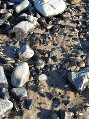 5 Tips for Rockhounding on the Tillamook Coast | Tillamook Coast Rock Finding, Rockhounding Oregon, Oregon Coast Roadtrip, Gem Hunt, Adventure Island, Oregon Vacation, Oregon Photography, Oregon Beaches, Oregon Road Trip