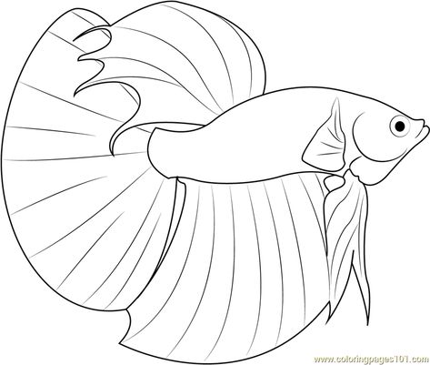 Betta Fish Coloring Page for Kids - Free Other Fish Printable Coloring Pages Online for Kids - ColoringPages101.com | Coloring Pages for Kids Beta Fish Drawing, Super Coloring Pages, Outline Pictures, Fish Coloring, Lego Coloring Pages, Fish Drawing, Fish Coloring Page, Desain Quilling, Coloring Pages Inspirational