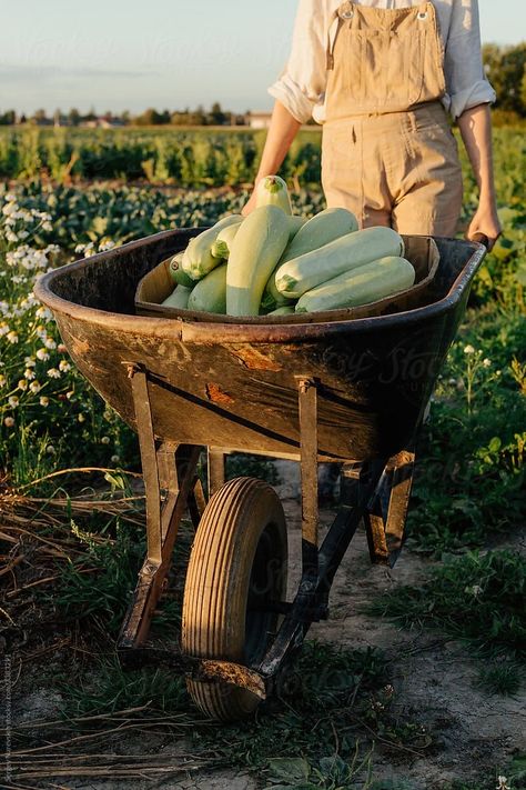 Traditional Lifestyle, Veuve Cliquot, Farm Hacks, Green Academia, Harvest Farm, Female Farmer, Farm Photography, Market Garden, Farm Photo