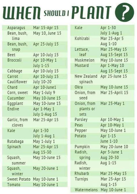 Southern Hemisphere When To Plant Vegetables, Plant Vegetables, Planting Calendar, When To Plant, Veg Garden, Home Vegetable Garden, Diy Gardening, Food Garden, Planting Vegetables