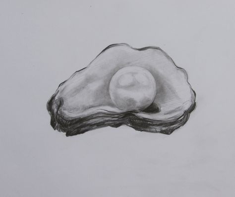 Shell Pencil Drawing, Shell With Pearl Drawing, Pearl Doodle, Pearls Drawing, Pearl Sketch, Shell Sketch, Pearl Drawing, Bored Drawing, Sketch Diary