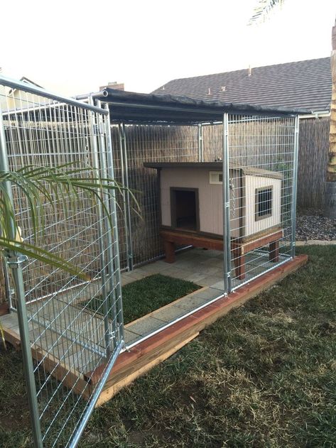 (ad) Any ideas for a chain link dog kennel? Dog Kennel Ideas Outdoor, Outdoor Dog Kennel Ideas, Dog Kennel Ideas, Outdoor Dog Area, Backyard Dog Area, Dog Enclosures, Kennel Ideas Outdoor, Dog Kennel Outside, Outdoor Dog Kennel