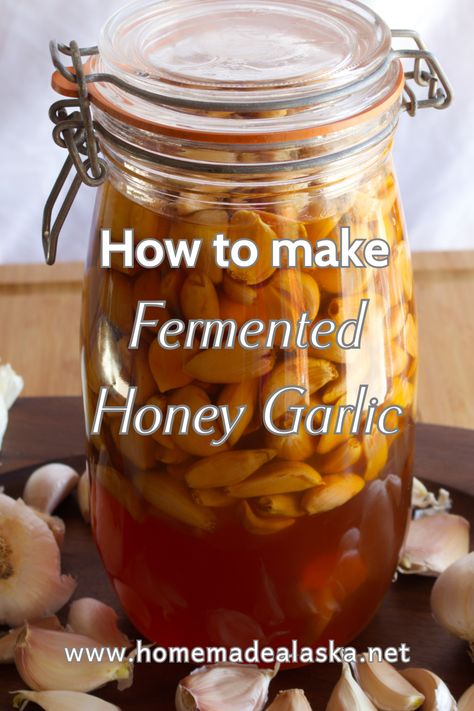 Fermented Honey Garlic is a blend of raw honey and garlic ferments into a sweet, tangy, and probiotic-rich elixir perfect for enhancing dishes and boosting wellness. Honey Garlic Cloves, Garlic Cloves In Honey, Garlic Syrup Medicine, Garlic In Honey Jar Benefits, Garlic Soaked In Honey, Garlic In Honey Jar, Garlic Onion Honey Medicine, Fermented Garlic Honey Benefits, Honey And Garlic Remedy