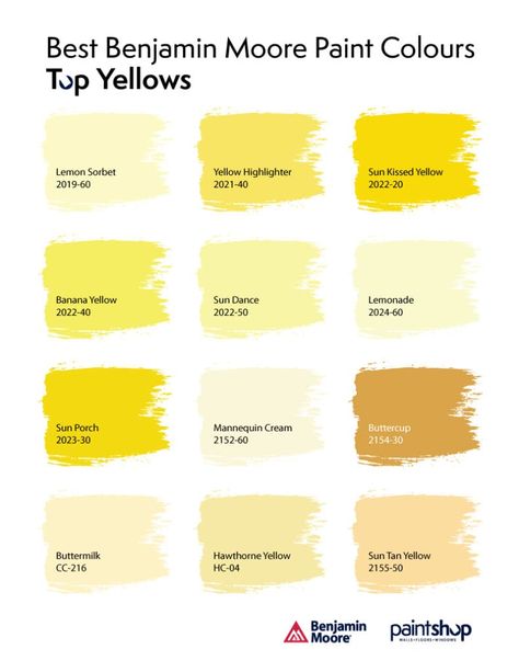 Light Yellow Paint Colors, Benjamin Moore Paint Colours, Benjamin Moore Yellow, Light Yellow Paint, Hawthorne Yellow, Yellow Highlighter, Yellow Front Doors, Yellow Paint Colors, Accent Wall Colors