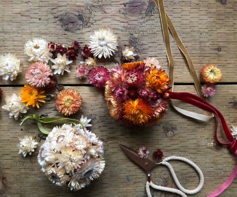 strawflower baubles Dry Flower Christmas Decor, Dried Flower Christmas Decorations, Dried Flower Christmas, Strawflower Wreath, Dried Floral Christmas Tree, Dried Flower Christmas Tree, Dried Straw Flowers, Strawflower Crafts, Strawflower Garland