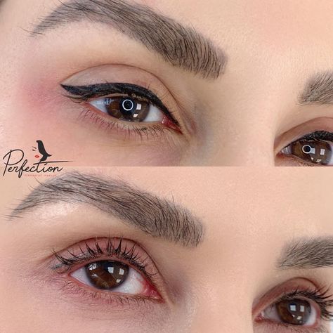 Perfect Eyebrow Shape, Eyeliner Tattoo, Permanent Makeup Eyebrows, Permanent Eyebrows, Physical Beauty, Eyebrow Shape, Eyebrow Shaping, Permanent Makeup, Eyebrows