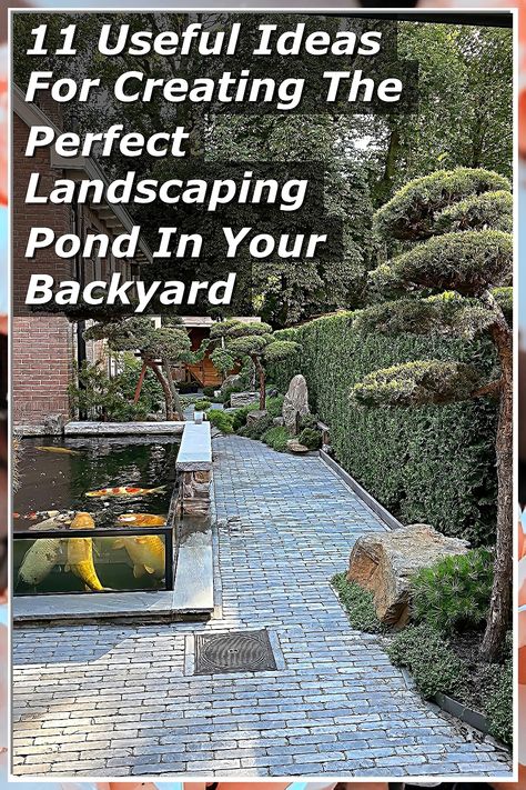 Transform your outdoor space with our guide on creating the perfect landscaping pond in your backyard. Discover 11 useful ideas that will inspire you to design a serene oasis, complete with stunning plants, water features, and wildlife-friendly elements. Whether you're looking for a tranquil retreat or a vibrant focal point, these tips will help you craft a beautiful pond that enhances your landscape and brings joy to your home. Dive into creativity today! Small Backyard Ponds, Small Water Features, Useful Ideas, Pond Landscaping, Wildlife Habitat, Garden Pond, Ponds Backyard, Backyard Retreat, Charming Garden