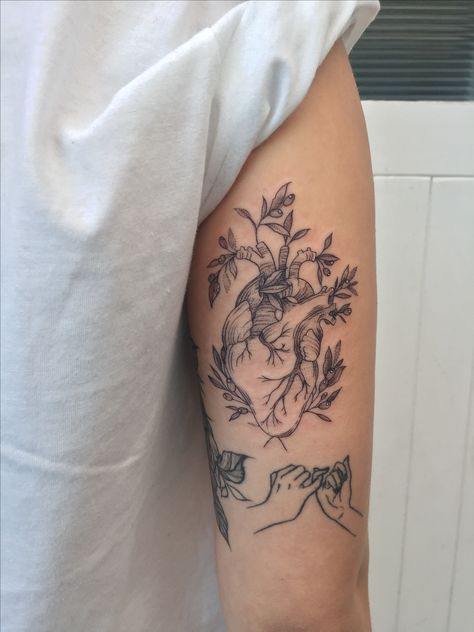 Heart with olive branches by Phoebe (Instagram: @phoebejhunter) Olive Branch Heart Tattoo, Olive Branch Tattoo Hand, Botanical Olive Branch Tattoo, Olive Branch Tattoo Thigh, Olive Branch Side Tattoo, Olive Tattoo, Olive Branch Tattoo, Olive Design, Branch Tattoo