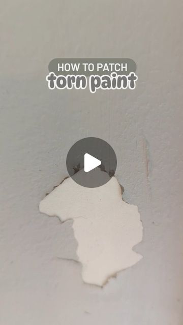 Patching Walls Drywall Repair, How To Spackle Walls, Patch Walls Drywall Repair, How To Fix Chipped Paint On Walls, Sanding Drywall Tips, Wall Sanding, Patching Drywall, Painting Drywall, Dolphin Fin