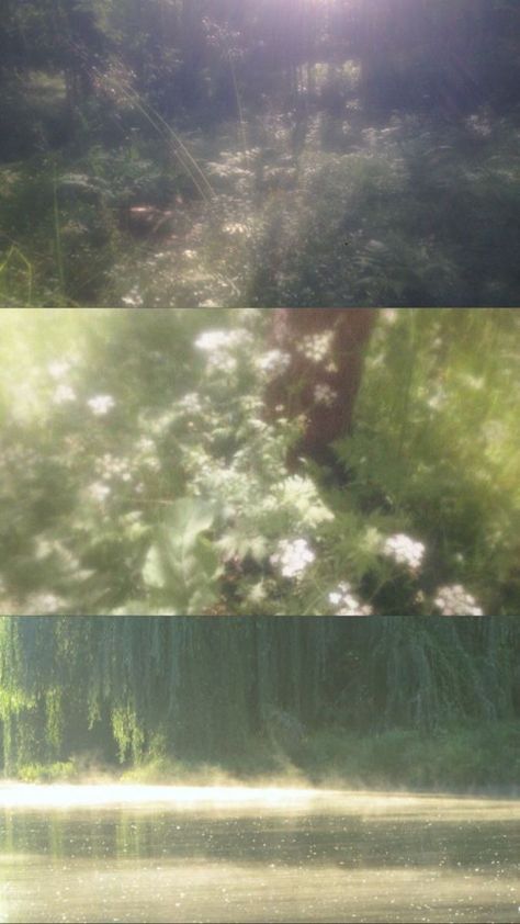 숲 사진, All The Bright Places, Fairycore Aesthetic, Cocoppa Wallpaper, Cinematic Photography, Film Aesthetic, Nature Aesthetic, Pretty Places, Green Aesthetic