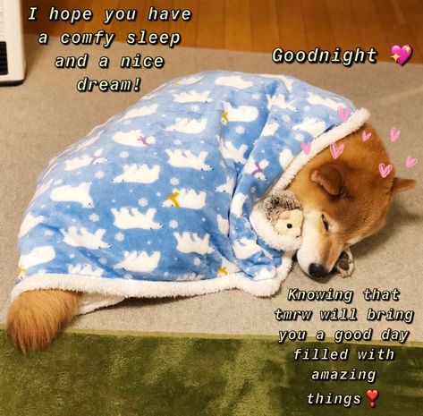 Wholesome Pictures Goodnight, Goodnight Wholesome, Goodnight Pictures Cute, Goodnight Messages For Him, Cute Goodnight, Flirty Memes, Wholesome Pictures, Cute Text Quotes, Cute Love Memes