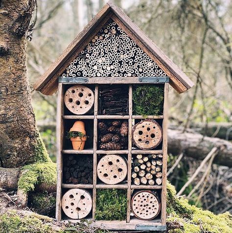 Bug Hotel Wall, Bugs Hotel, How To Build A Bug Hotel, Pallet Insect Hotel, Bug Motel Insect Hotel, Nursery Planning, Explorers Club, Insect Hotel, Bug Hotel