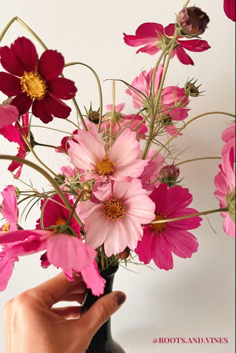 Cosmo Flower Bouquet, Cosmos Flower Arrangement, Cosmos Wedding Flowers, Cosmos Flower Bouquet, Cosmo Bouquet, Cosmos Wedding, Cosmos Bouquet, Cosmo Flowers, Pink Cosmos Flowers