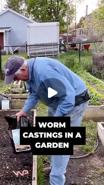 Captain Matt and the Worm People on Instagram: "Using worm castings to start my garden bed #worms #wormfarm #gardening #vermicompost #organicgarden" Vermicomposting Worm Farm, Worm Beds, Worm Castings, Worm Farm, Garden Bed, My Garden, Organic Gardening, Garden Beds, To Start