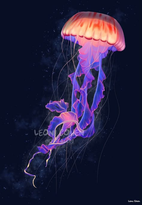 Medusa Animal, Jellyfish Illustration, Jellyfish Photography, Jellyfish Decorations, Jellyfish Painting, Jellyfish Drawing, Jellyfish Craft, Bawah Air, Jellyfish Print