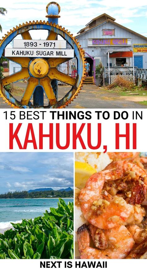 Traveling to the North Shore and looking for the best things to do in Kahuku? Home to Turtle Bay Resort, you'll find so much to do in Kahuku (including FOOD)! | Kahuku things to do | Kahuku attractions | Kahuku landmarks | Places to visit in Kahuku | Kahuku sightseeing | Kahuku day trip | What to do in Kahuku | Things to do at Turtle Bay Resort | Best food in Kahuku | Kahuku restaurants | Kahuku cafes | Kahuku beaches Turtle Bay Oahu, Turtle Bay Restaurant, Turtle Bay Resort Hawaii, Turtle Bay Hawaii, Kahuku Hawaii, Oahu Vacation, Turtle Bay Resort, Hawaii Things To Do, Travel Hawaii