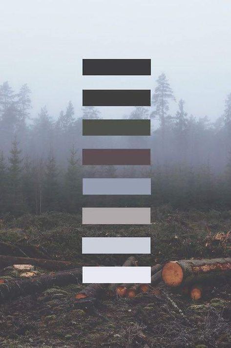 Imgur: The magic of the Internet Nature Color Palette, Colour Schemes, Color Pallets, Color Swatches, Visual Merchandising, Color Theory, Nature Wallpaper, Color Themes, Earth Tones